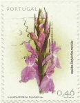 Stamps Portugal -  ORQUIDEA  ( DACLYLORHIZA MACULATA )