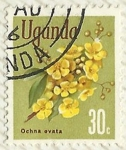 Stamps Uganda -  OCHNA OVATA