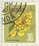 Sellos del Mundo : Africa : Uganda : OCHNA OVATA