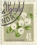 Stamps Uganda -  IPOMOEA SPATHULATA