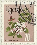 Stamps Uganda -  CARISSA EDULIS