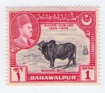 Sellos de Asia - Pakist�n -  Bahawalpur - shaiwal bull