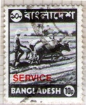 Stamps : Asia : Bangladesh :  4