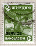 Stamps : Asia : Bangladesh :  6