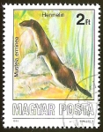 Stamps Hungary -  MUSTELA ERMINEA - HERMELIN