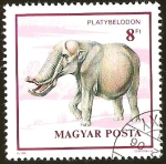 Stamps Hungary -  PLATYBELODON