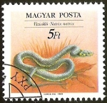 Stamps Hungary -  NATRIX NATRIX