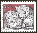 Stamps Sweden -  LEOPARDOS DE LAS NIEVES