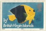 Stamps Virgin Islands -  ROCK BEAUTY HOLACANTHUS TRICOLOR