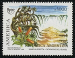 Sellos de America - Argentina -  ARGENTINA - Parque Nacional de Iguazú