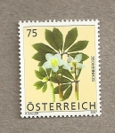 Stamps Austria -  Flores de los Alpes