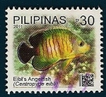 Stamps Philippines -  Pez Angel de rayas naranjas