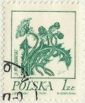 Sellos de Europa - Polonia -  FLORES