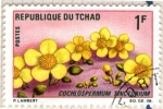 Stamps : Africa : Chad :  22 Cochlospermum