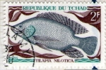 Stamps Africa - Chad -  23 Tilapia Nilotica