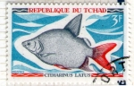 Stamps : Africa : Chad :  24 Citharinus Latus
