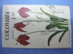 Stamps Colombia -  MASDEVALLIA COCCINEA
