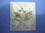 Stamps Colombia -  FRAILEJON