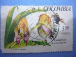 Stamps Colombia -  CATASETUM