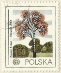 Stamps Poland -  ARBOL