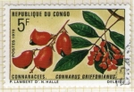 Stamps : Africa : Republic_of_the_Congo :  23