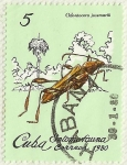 Stamps : America : Cuba :  INSECTO