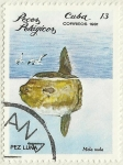 Stamps Cuba -  PEZ LUNA