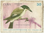 Stamps Cuba -  CRACTICUS TORQUATUS