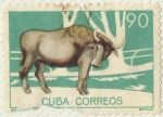 Stamps : America : Cuba :  ZOOLOGICO DE LA HABANA. BUFALO
