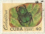 Stamps Cuba -  ESCARABAJO