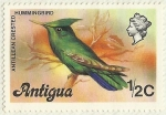 Sellos del Mundo : America : Antigua_y_Barbuda : COLIBRI ANTILLANO CRESTADO