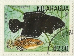 Stamps Nicaragua -  PECES