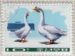 Stamps Asia - South Korea -  13 República de Corea