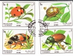 Stamps United Arab Emirates -  SHARJAH- Insectos 