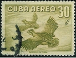 Stamps Cuba -  Aves