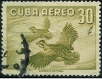 Sellos de America - Cuba -  Aves