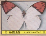 Stamps United Arab Emirates -  AJMAN -Mariposas