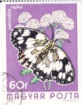 Stamps Hungary -  Mariposas