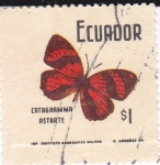 Stamps Ecuador -  Mariposas -Catagramma Astarde