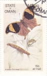 Stamps : Asia : Oman :  Mariposas y larvas -Arpídea Chorinaea