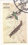 Stamps : Asia : Oman :  Mariposas y larvas -Spotted Elephant Hawk Moth