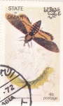 Stamps : Asia : Oman :  Mariposas y larvas -