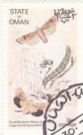 Sellos de Asia - Om�n -  Mariposas y larvas -Broad bordered