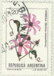 Stamps Argentina -  VIRREINA