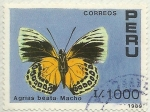Stamps Peru -  AGRIAS BEATA - MACHO