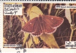 Stamps Oman -  Mariposas - Scotch Brown Argus