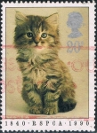 Stamps United Kingdom -  150 ANIV. DE LA SOCIEDAD PARA LA PREVENCIÓN DE LA CRUELDAD EN LOS ANIMALES. GATO. M 1245