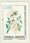 Stamps : America : Argentina :  NOTRO - CIRUELILLO