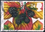 Stamps : Europe : United_Kingdom :  FRUTOS DE OTOÑO. ZARZAMORAS. M 1464