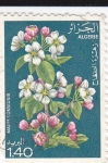Stamps Algeria -  Malus Communis